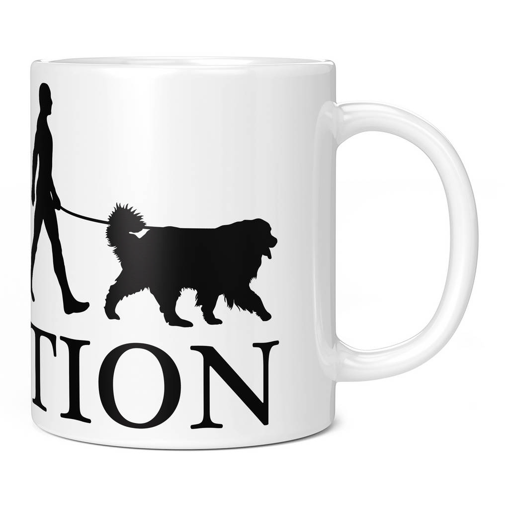 BERNESE MOUNTAIN DOG EVOLUTION 11oz NOVELTY MUG Mugs
