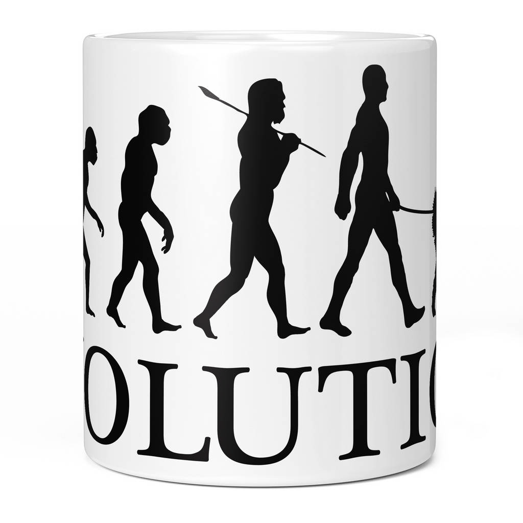 BERNESE MOUNTAIN DOG EVOLUTION 11oz NOVELTY MUG Mugs